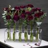 Acryl-Vasen- und Halter-Set mit herausnehmbaren Reagenzgläsern (8/12 Stück) für einzigartige Blumendisplays