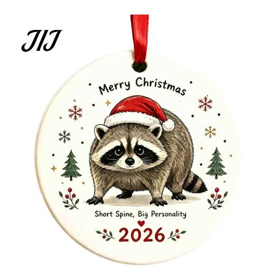 Holiday Home Decor Christmas Raccoon Acrylic Ornament, Cute Animal Hanging for Tree Unique Gift Friends Desk, Festive Decoration, Lovers Aesthetic