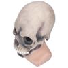 Halloween Scary Skull Mask Adult Full Head Latex Skull Helmet Glowing Eyes with Moving Chin
