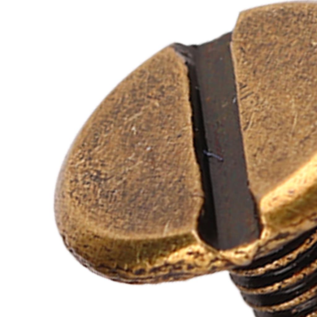 200er Set Buchbindeschrauben 9x5mm Hartes Dickes Messingmaterial Gleichmäßige Beschichtung Buchbindeschrauben Sortiertes Set für Fotoalbum