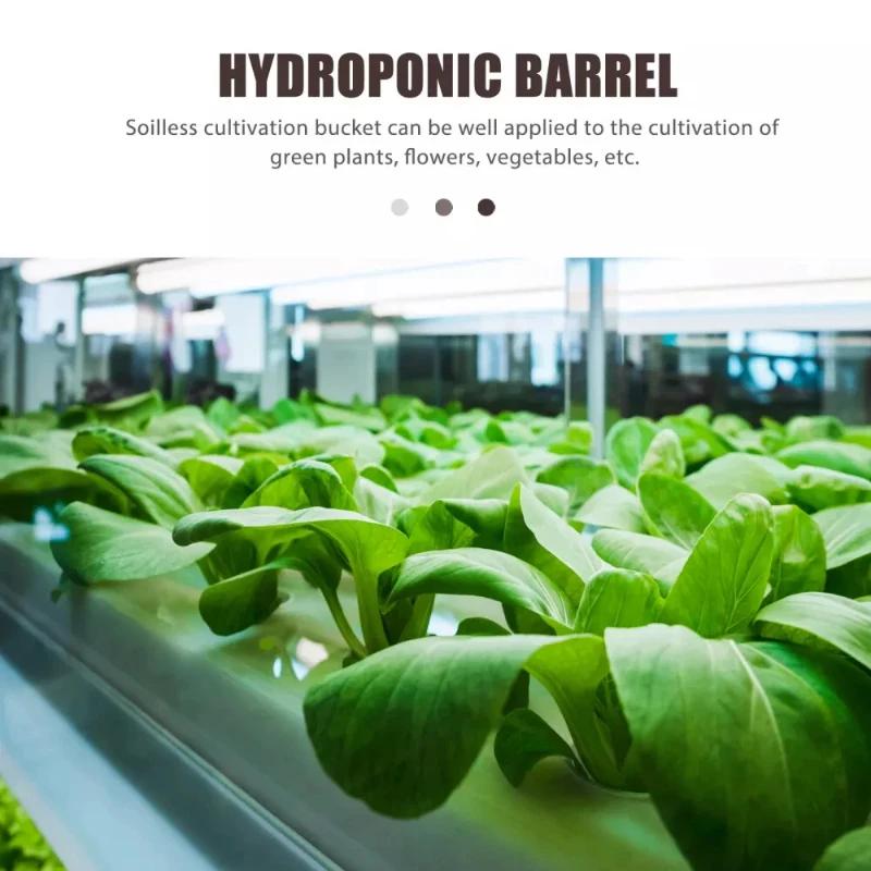 Top Quality Hydroponic Seedling Starter Kit, Indoor Soilless Vegetable and Herb Growing System, Perfect for Balcony Gardening