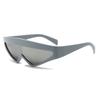 Vintage Trendy Technological Punk Goggles Women Men Futuristic Sun Eyeglasses For Outdoor Use Lady Man Glasses UV Protection 400