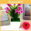 Lily Simulated Bonsai Potted Plant Arrangement For Living Room Or Workspace