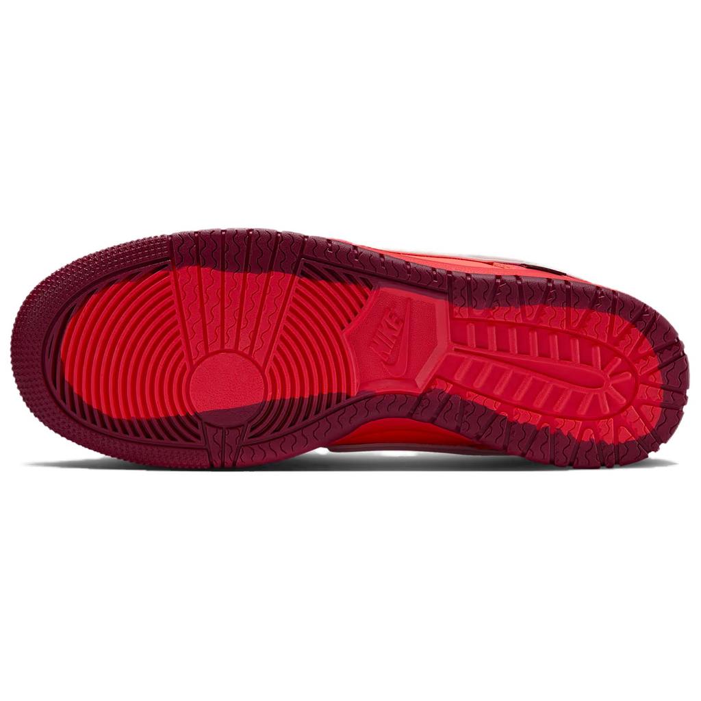 Nike Dunk Low GORE-TEX Crimson Unisex Tenisky Red Light-Crimson Light-Iron-Ore HQ2053-800