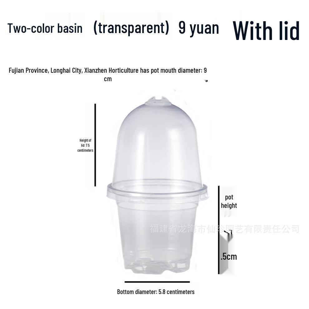 Two-Color Transparent Flower Pot with Lid - Durable, Breathable, Moisture-Retaining Seedling Cup for Heat Preservation