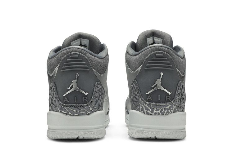 Kids' Sneakers Jordan 3 Retro Premium Heiress Metallic Silver (GS) Metallic Silver/Cool Grey-White