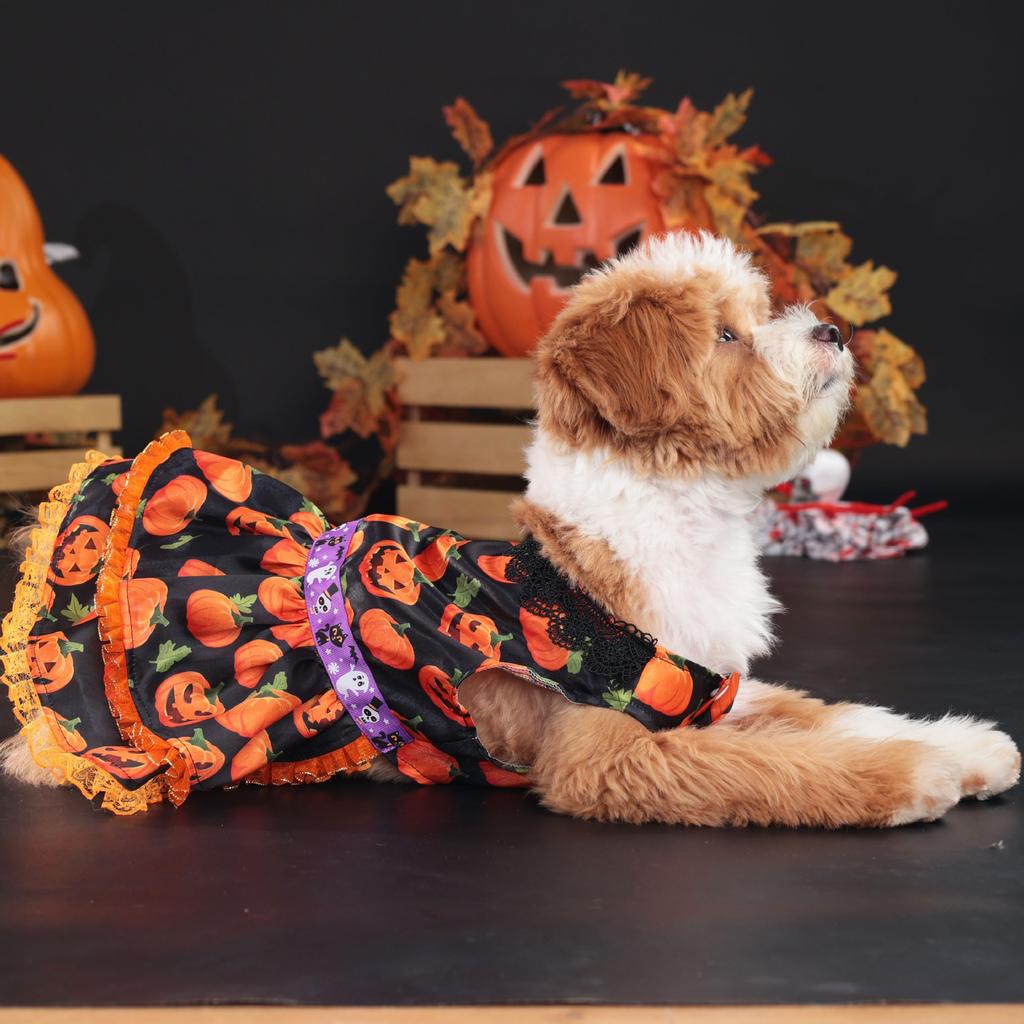 Popular Halloween Pet Supplies Dog Clothes Costumes Pumpkin Skirts and Small Dog Lace Skirt Dog Dress White Girl Dog Clothes