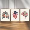 Medical Floral Human Organ Prints Canvas Painting Human Anatomy Heart Brain Lungs Wall Art Posters Office Home Dorm Decor