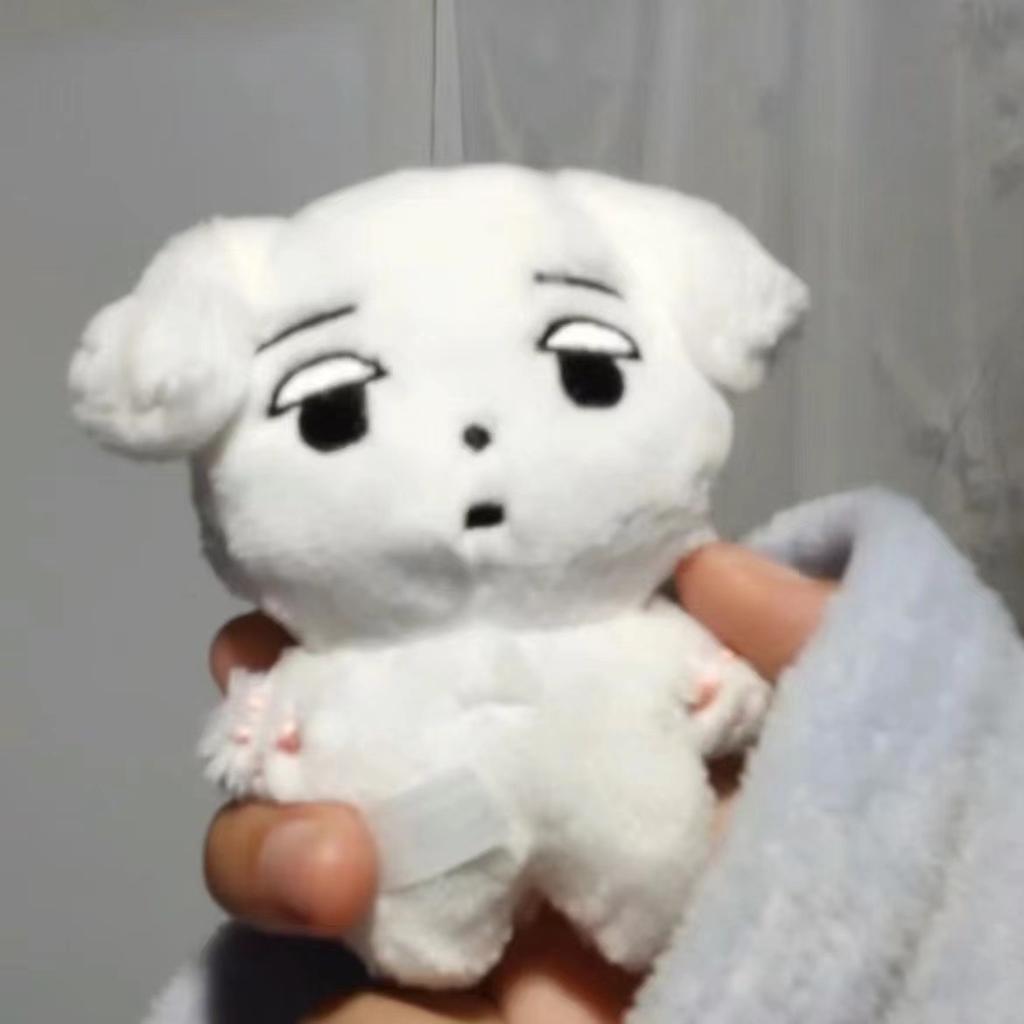 Yi WINTER Min Kim ting Liu Zhimin curry dog curry pot curry cat doll key.