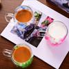 Double Wall Glass Cup 200ml Clear Dried Flowers Milk Tea Coffee Mug with Handle Gifts Friends Home Water Cup Drinking Glasses