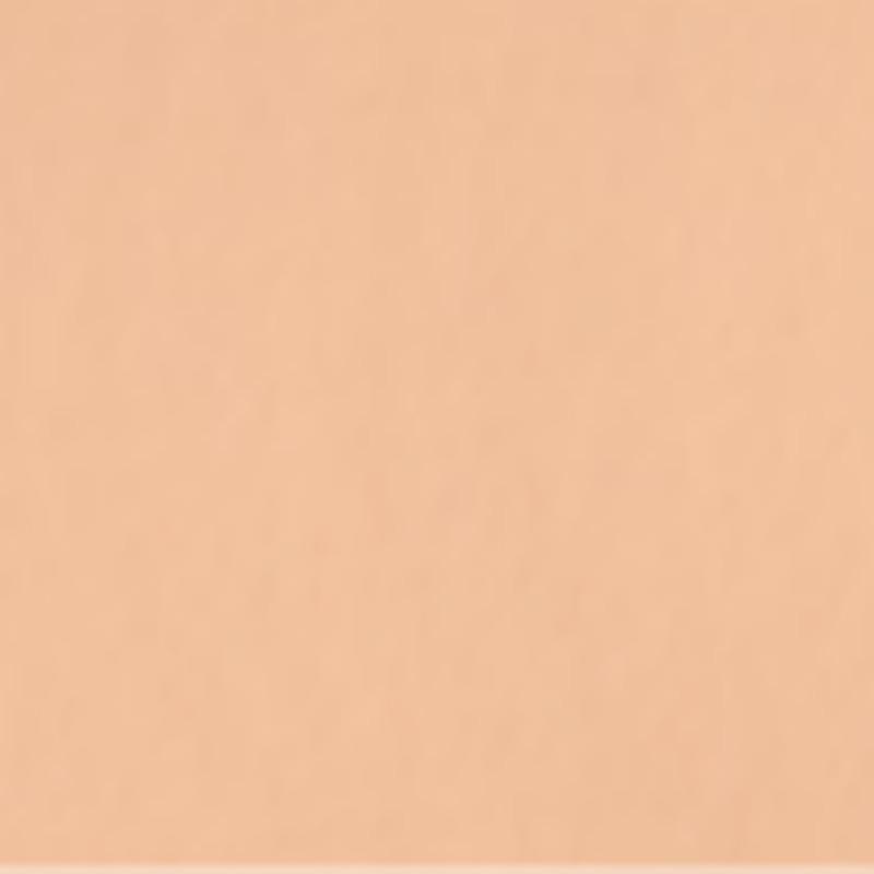 SKINFOOD Salmon Darkcircle Concealer 10g (Shade Options Available)