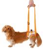 Petio Walking Assist Harness for Senior Hind for Small Dogs Dogs, Legs, Medium,