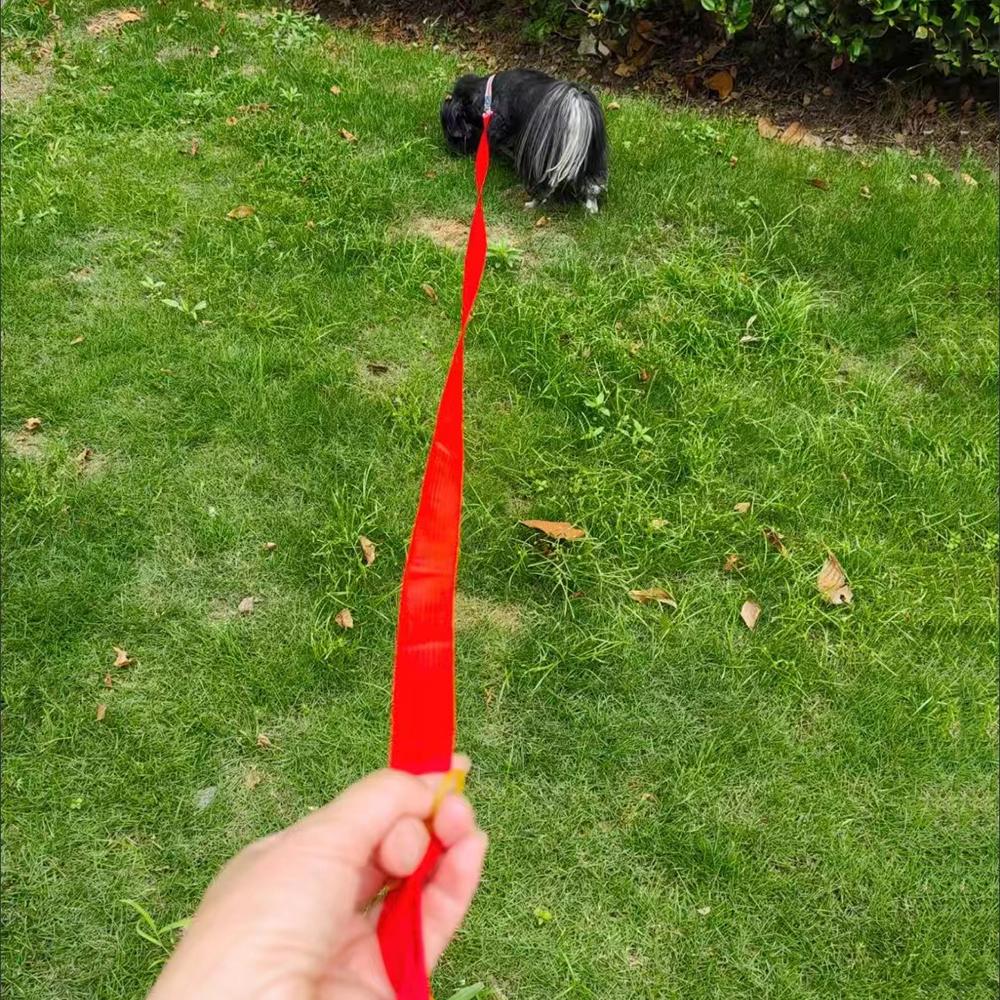 Nylon Dog Leash Dogs Long Lanyard Traction Rope for Small Large Dogs Cats Outdoor Training Puppy Kitten Lead Strap Pet Supplies