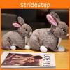 Rabbit Toy Plush Cartoon Stuffed Doll Animal Room Decoration Kids Cute Gift