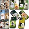 Bichon Frise Pomeranian Dog Phone Case for Samsung Galaxy A06 A05 A14 A50 A51 A52 A12 A13 A23 A70 A07 A25 A26 A72 A56 Cover