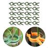 Flower and Vine Clips for Climbing Plants