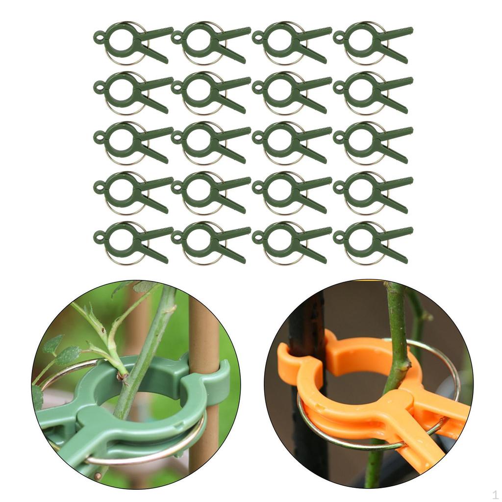 Flower and Vine Clips for Climbing Plants