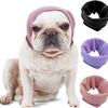 Roupa e sapatos – Chapéus para cães
