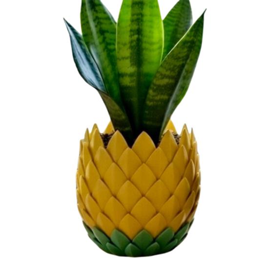 Doniczka ze Skalą Smoka z Podstawką Wewnątrz Na Zewnątrz Sukulenty Rośliny Ziołowe Doniczka Pojemnik z Otworami Drenażowymi Wystrój Domu Balkonu Ogrodu