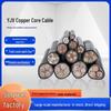 Standard Safety Check Low Voltage YJV Cable - Copper Core, 1-5 Cores, 10-50 Square