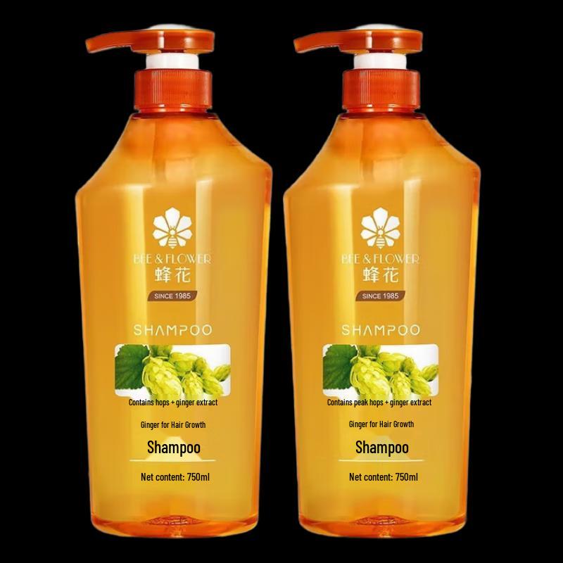 Fenghua Ginger Healthy Hair Shampoo 750ml Twin Pack