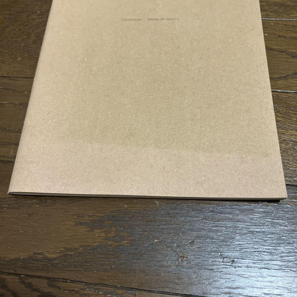 [USED] 6 RAD MUSICIAN Look Books