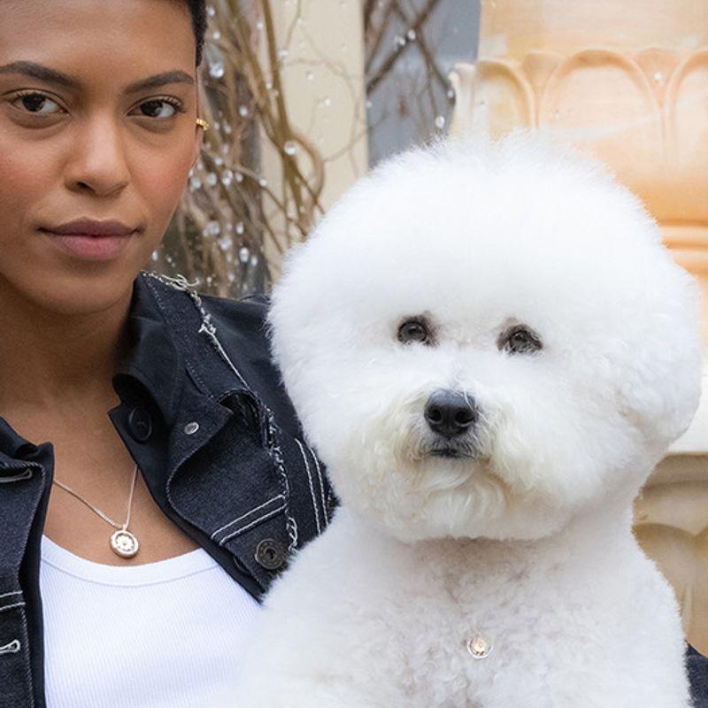 BE/GINS Argent925 VIS À TEMPS ROUE DENTÉE PIÈCE COLLIER POUR ANIMAL DE COMPAGNIE