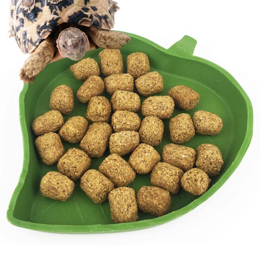 2pcs Leaf Shape Reptile Feeder Food Water Bowl For Turtle Lizards Hamsters Snakes Tortoise Gecko Small Pets Feeder Pet Supplies
