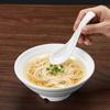Food Grade A5 Melamine Soup Spoons (10-Pack)