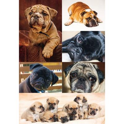 Koníčky a kreativita – Samolepky na rôzne účely