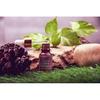 Arth Naturals,Power of 14 Oils, Face Serum, All Skin Types, Anti-Aging, Wrinkle Free, Pigementation, Skin Tone Corrector