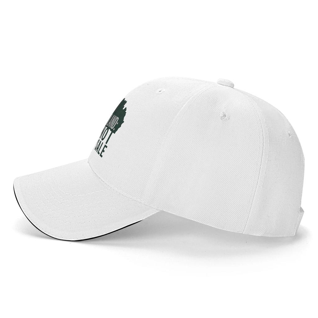 Summer Greenland is Not For Sale Baseball Cap  Tennis Skate y2k Funny Design Sun Hip Hop Hats Unisex Women Dropshipping  Cap
