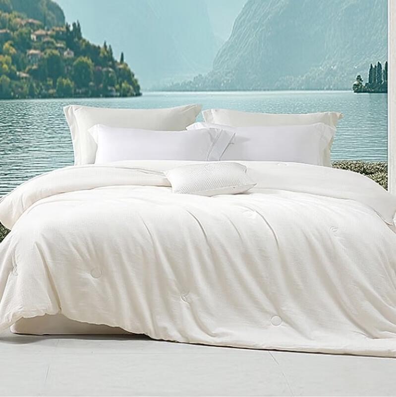 

Mercury Home Textiles 100% Tussah Silk Quilt