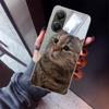 Pet Cat Funny Memes Phone Case For Xiaomi Poco X5 X6 X7 Pro F7 Ultra M7 Redmi 15C 15 13C 13 12C 12 10 10C 10A 9 9C 9T 9A Cover P