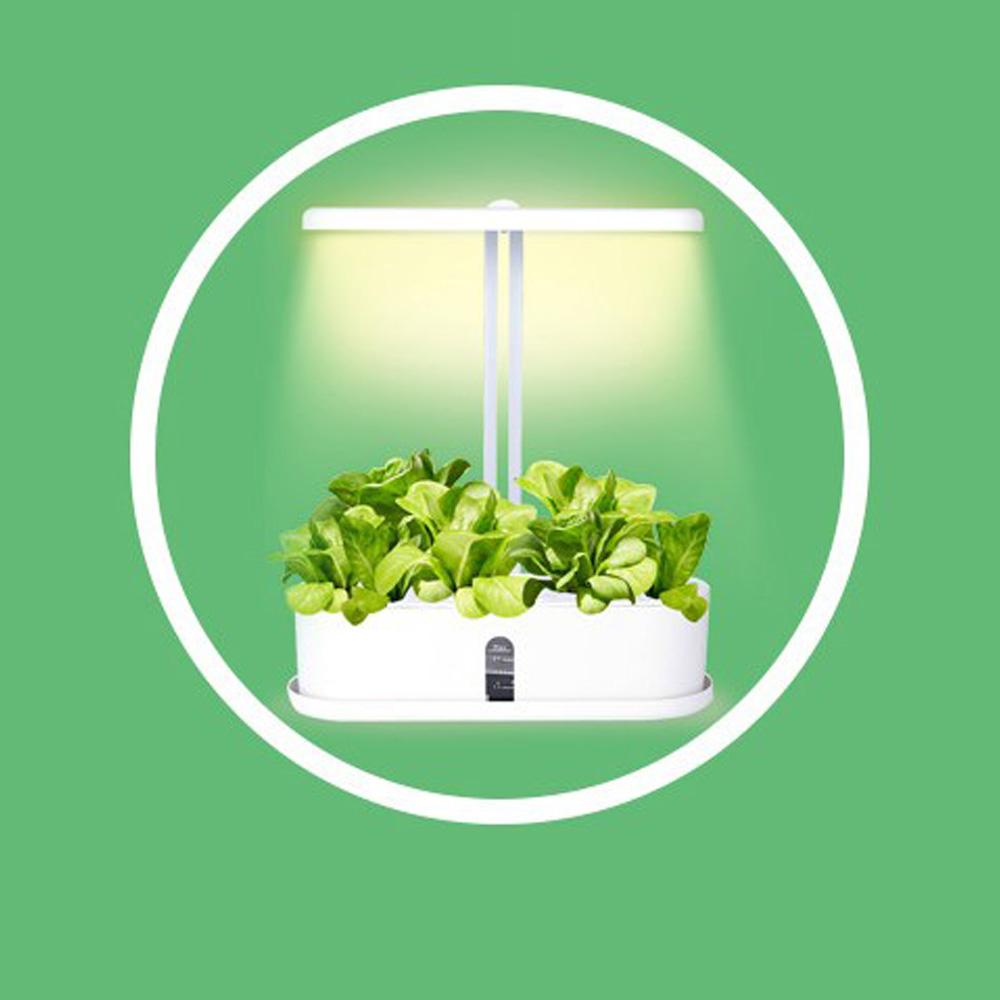 10 Pods Hydroponic Growing System, Indoor Herb Garden Kit with Grow Light, Smart Garden for Home