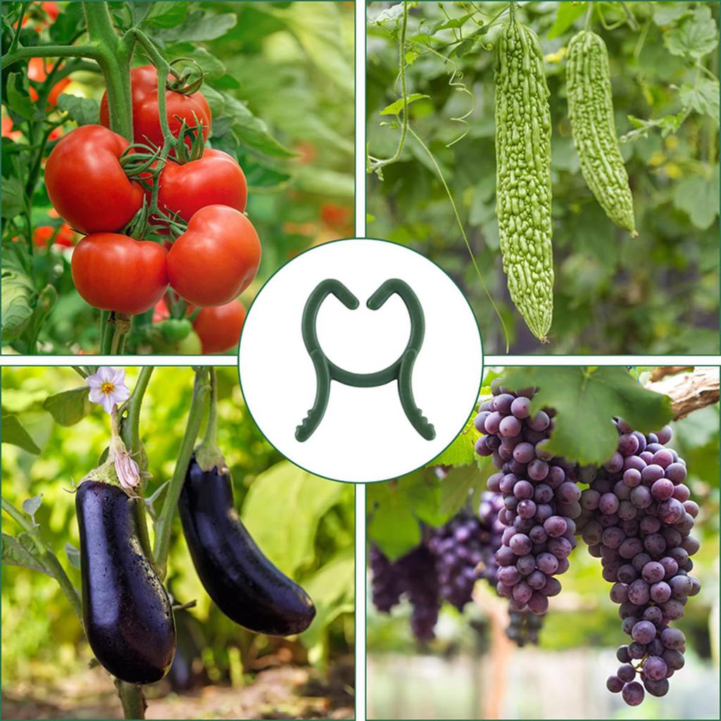 100/200pcs Plant Clips 3 Size Clips for Attaching Plants Garden Clamp Plant Support Clamp Climbing Plant Clip Plant Clip