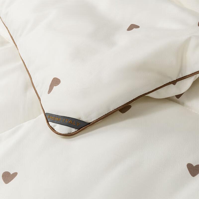 Xifuni Warm Brushed Microfiber Quilt