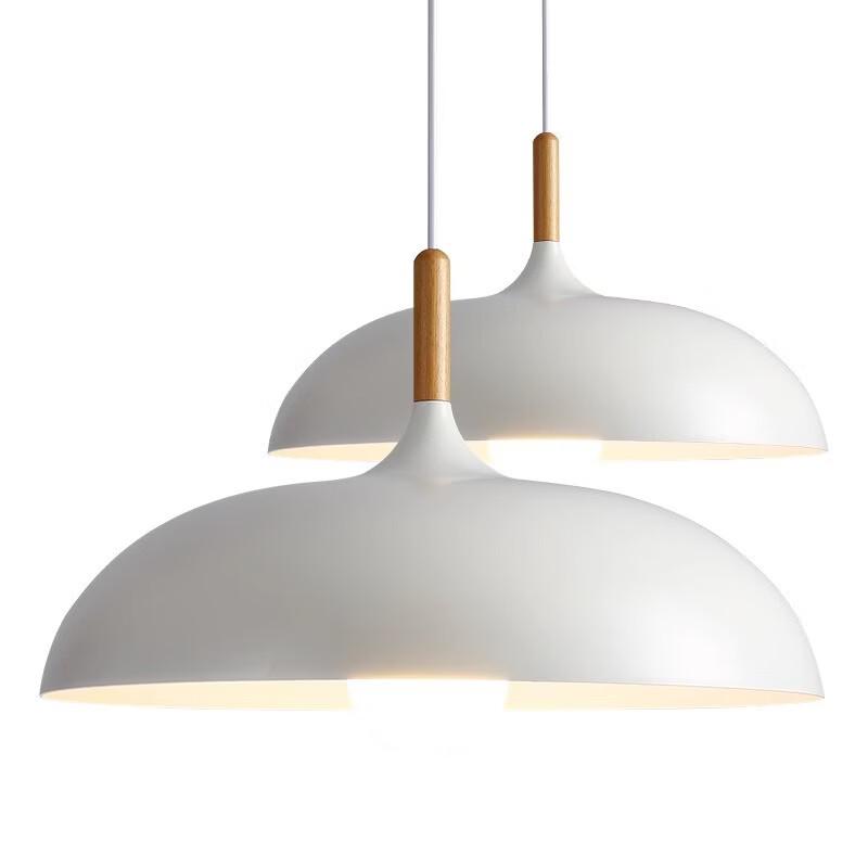 Oeny Modern Iron Pendant Lamp