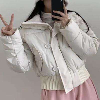 Korean Fashion Retro Warm Lamb Wool Jacket Women New Joker Thickened Turn Collar Coat High Sense Vintage Casual Short Overcoat Winter