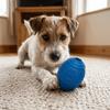 Cães – Brinquedos para cães