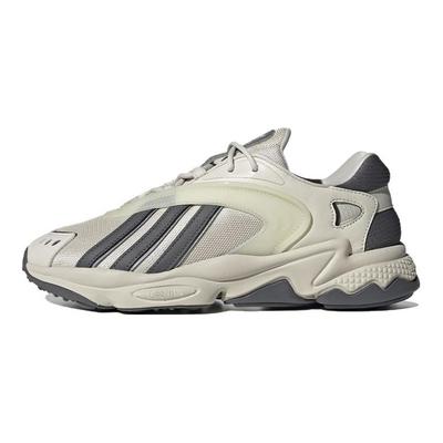 Oztral Aluminium Grey Unisex Sneakers Grey-Five Silver-Metallic GZ9409