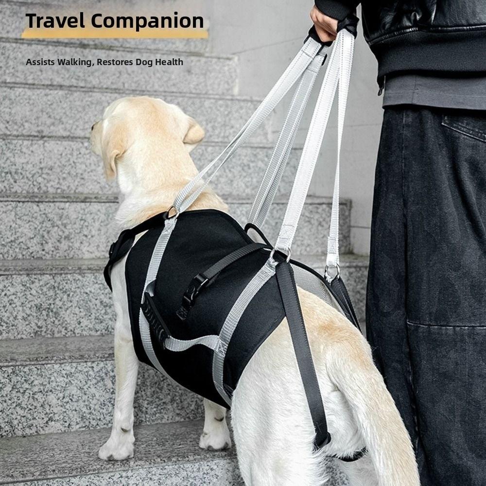 Adjustable Large Dog Lift Harness Reflective Support Recovery Sling Dog Sling Carrier Travel