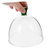 KICHOUSE 4-inch Heat-Resistant Glass Smoked Dome Cover, Clear Food Cover, Food Protection, Ideal for Storing Cakes and Bread