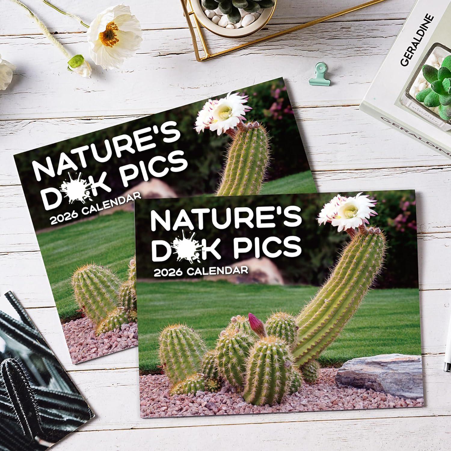 Calendario 2026 Calendario Cactus Calendario Scherzo Cactus Con 12 Illustrazioni Divertenti di Cactus Decorazione Ufficio Regalo Calendario 12 Mesi