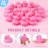 Hungdao 48 Pcs 2 Inch Mini Rubber Ducks for Kids Children Party Favors Bulk Bath Ducks Summer Pool Floating Toys Rubber Duckies Birthday Gifts for