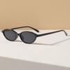 Classic Oval Small Sunglasses Women Trendy Cat-eye Sun Glasses for Ladies Fashion Daily Driving Travelling Shades UV400