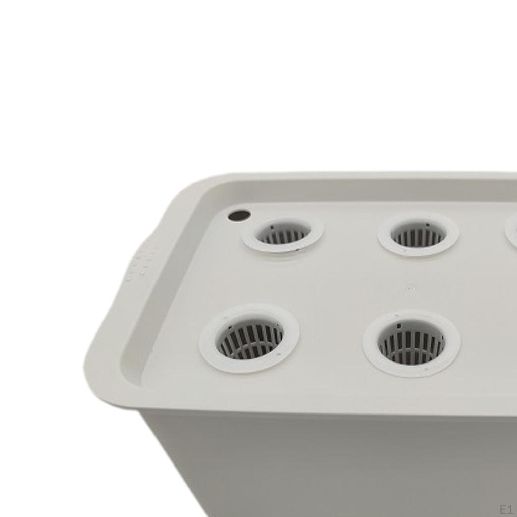 System Growing Box, s Kit Garden Cabinet Box Indoor Gardening for Lettuce