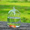 Kreative hängende Glasvase Aquarium durchsichtiges Glas handgefertigtes Aquarium Heimdeko Schmuck