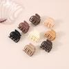 Fashionable and Simple Hair Clip Frosted Small Hair Clip for Women's Hair Shark Hair Clip Accessories