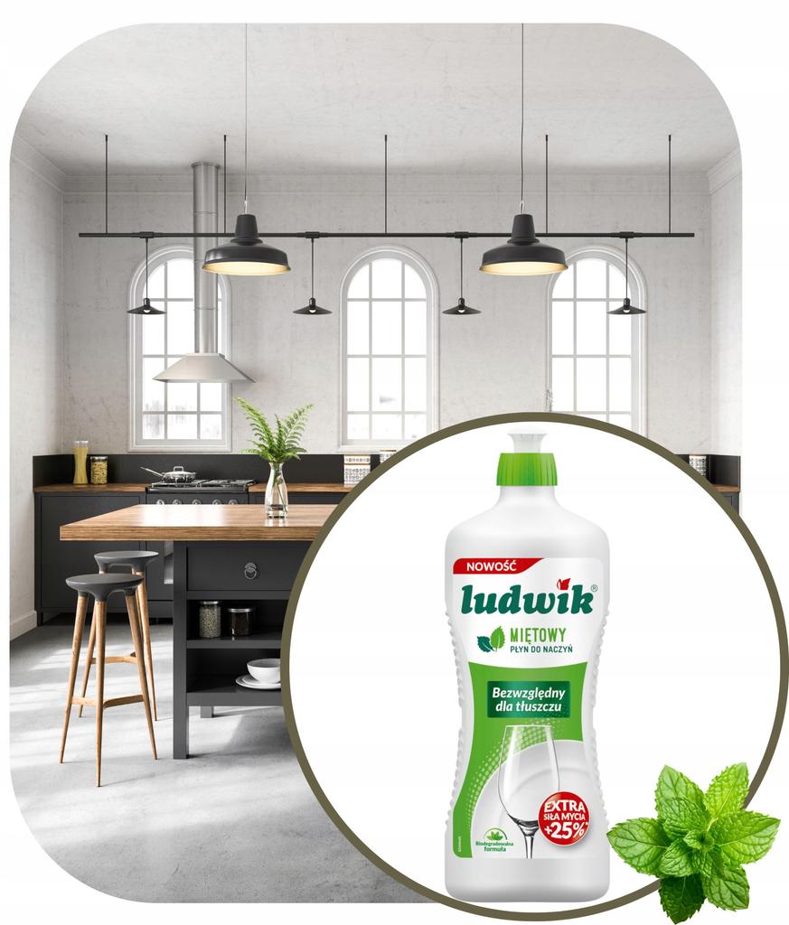 Ludwik Do Mycia Naczyń 500 Ml /450G Mięta
